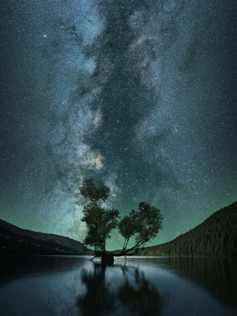Un arbre au milieu d’un lac sous la Voie lactée